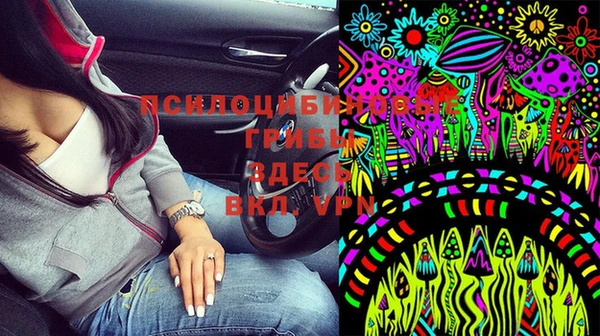 спайс Липки